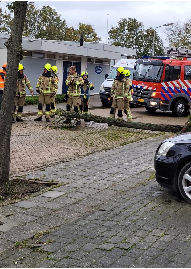 storm schade in schore