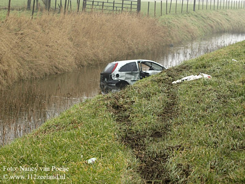 n1.jpg