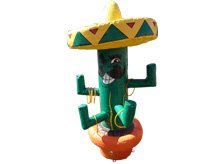 kinderspel-cactus-ringen-gooien-220x164.jpg